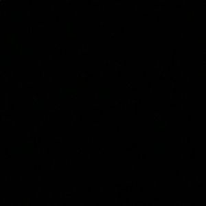 Meet your Posher, Luona